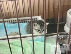 新潟デリヘル五十路マダム新潟店(カサブランカグループ)(イソジマダムニイガタテン) 夏目みな(51)の6月23日写メブログ「家族が」