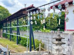 新潟デリヘル五十路マダム新潟店(カサブランカグループ)(イソジマダムニイガタテン) 夏目みな(51)の6月28日写メブログ「このお題、好き…笑」