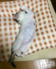 新潟デリヘル五十路マダム新潟店(カサブランカグループ)(イソジマダムニイガタテン) 夏目みな(51)の7月1日写メブログ「2025/07/01」