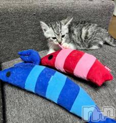 新潟デリヘル五十路マダム新潟店(カサブランカグループ)(イソジマダムニイガタテン) 夏目みな(51)の7月13日写メブログ「プライムデーだから」