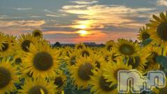 新潟デリヘル五十路マダム新潟店(カサブランカグループ)(イソジマダムニイガタテン) 夏目みな(51)の8月16日写メブログ「タクシー」