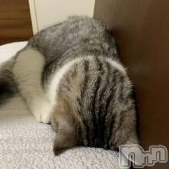 新潟デリヘル五十路マダム新潟店(カサブランカグループ)(イソジマダムニイガタテン) 夏目みな(51)の10月1日写メブログ「(´；ω；｀)」