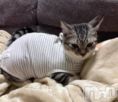 新潟デリヘル五十路マダム新潟店(カサブランカグループ)(イソジマダムニイガタテン) 夏目みな(51)の11月28日写メブログ「[お題]from:怖いんだけどさん」