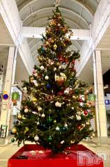 新潟デリヘル五十路マダム新潟店(カサブランカグループ)(イソジマダムニイガタテン) 夏目みな(51)の12月25日写メブログ「サプライズ♪」