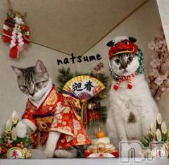 新潟デリヘル五十路マダム新潟店(カサブランカグループ)(イソジマダムニイガタテン) 夏目みな(51)の1月1日写メブログ「改めまして、、」