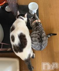 新潟デリヘル五十路マダム新潟店(カサブランカグループ)(イソジマダムニイガタテン) 夏目みな(51)の1月16日写メブログ「6kg、4kg」