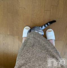 新潟デリヘル五十路マダム新潟店(カサブランカグループ)(イソジマダムニイガタテン) 夏目みな(51)の1月30日写メブログ「スカートの中」