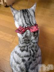 新潟デリヘル五十路マダム新潟店(カサブランカグループ)(イソジマダムニイガタテン) 夏目みな(51)の2月11日写メブログ「シュシュ」