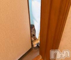 新潟デリヘル五十路マダム新潟店(カサブランカグループ)(イソジマダムニイガタテン) 夏目みな(51)の2月21日写メブログ「毎回毎回」