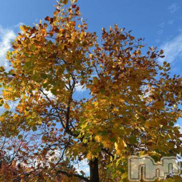 新潟デリヘル 五十路マダム新潟店(カサブランカグループ)(イソジマダムニイガタテン) 夏目みな(51)の11月5日写メブログ「帰り道」