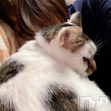 新潟デリヘル 五十路マダム新潟店(カサブランカグループ)(イソジマダムニイガタテン) 夏目みな(51)の1月2日写メブログ「明日」