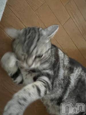 新潟デリヘル 五十路マダム新潟店(カサブランカグループ)(イソジマダムニイガタテン) 夏目みな(51)の2月28日写メブログ「猫パンチ」