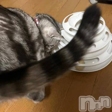 新潟デリヘル 五十路マダム新潟店(カサブランカグループ)(イソジマダムニイガタテン) 夏目みな(51)の3月26日写メブログ「お返し」