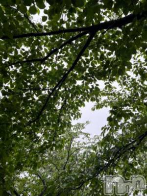 新潟デリヘル 五十路マダム新潟店(カサブランカグループ)(イソジマダムニイガタテン) 夏目みな(51)の5月7日写メブログ「雨…」