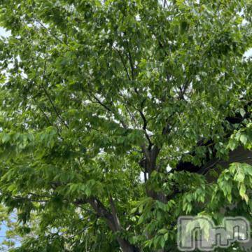 新潟デリヘル 五十路マダム新潟店(カサブランカグループ)(イソジマダムニイガタテン) 夏目みな(51)の5月18日写メブログ「暑いねー」