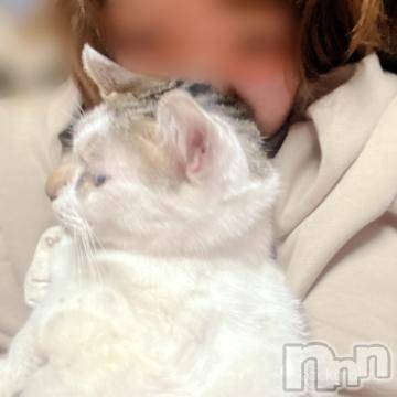 新潟デリヘル 五十路マダム新潟店(カサブランカグループ)(イソジマダムニイガタテン) 夏目みな(51)の5月26日写メブログ「タイミング…」