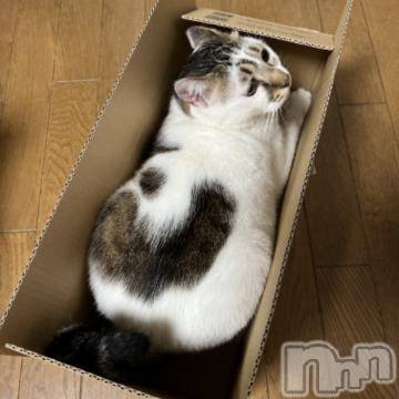 新潟デリヘル 五十路マダム新潟店(カサブランカグループ)(イソジマダムニイガタテン) 夏目みな(51)の6月1日写メブログ「今日も…」