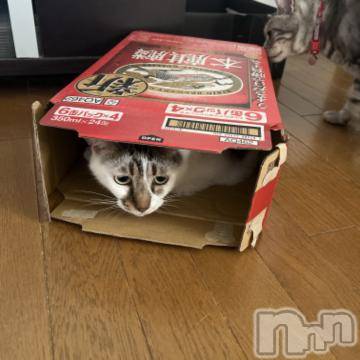 新潟デリヘル 五十路マダム新潟店(カサブランカグループ)(イソジマダムニイガタテン) 夏目みな(51)の6月21日写メブログ「通常通り」