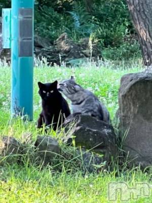 新潟デリヘル 五十路マダム新潟店(カサブランカグループ)(イソジマダムニイガタテン) 夏目みな(51)の7月6日写メブログ「お疲れさまです」