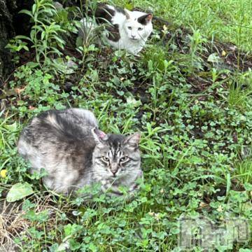新潟デリヘル 五十路マダム新潟店(カサブランカグループ)(イソジマダムニイガタテン) 夏目みな(51)の7月15日写メブログ「お疲れさまです」