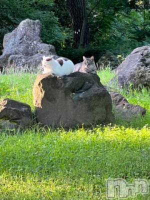 新潟デリヘル 五十路マダム新潟店(カサブランカグループ)(イソジマダムニイガタテン) 夏目みな(51)の7月17日写メブログ「こんにちは」
