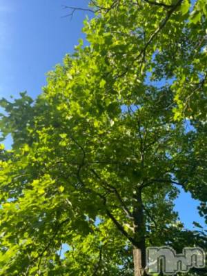 新潟デリヘル 五十路マダム新潟店(カサブランカグループ)(イソジマダムニイガタテン) 夏目みな(51)の7月27日写メブログ「はじめて」