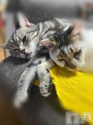 新潟デリヘル 五十路マダム新潟店(カサブランカグループ)(イソジマダムニイガタテン) 夏目みな(51)の9月13日写メブログ「朝…」