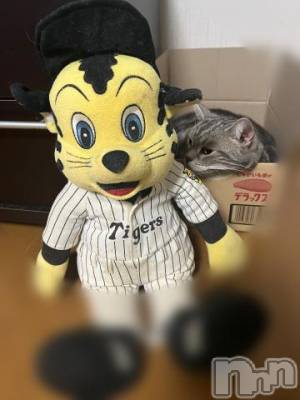 新潟デリヘル 五十路マダム新潟店(カサブランカグループ)(イソジマダムニイガタテン) 夏目みな(51)の9月14日写メブログ「18年」