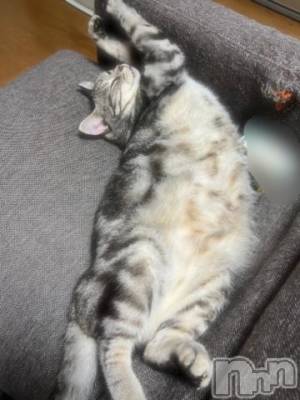 新潟デリヘル 五十路マダム新潟店(カサブランカグループ)(イソジマダムニイガタテン) 夏目みな(51)の10月1日写メブログ「おはようございます」