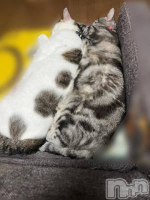 新潟デリヘル 五十路マダム新潟店(カサブランカグループ)(イソジマダムニイガタテン) 夏目みな(51)の10月4日写メブログ「おはようございます」