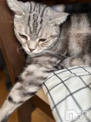 新潟デリヘル 五十路マダム新潟店(カサブランカグループ)(イソジマダムニイガタテン) 夏目みな(51)の10月19日写メブログ「おはようございます」