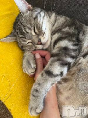 新潟デリヘル 五十路マダム新潟店(カサブランカグループ)(イソジマダムニイガタテン) 夏目みな(51)の11月6日写メブログ「息子」