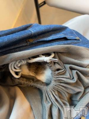 新潟デリヘル 五十路マダム新潟店(カサブランカグループ)(イソジマダムニイガタテン) 夏目みな(51)の11月8日写メブログ「病院」