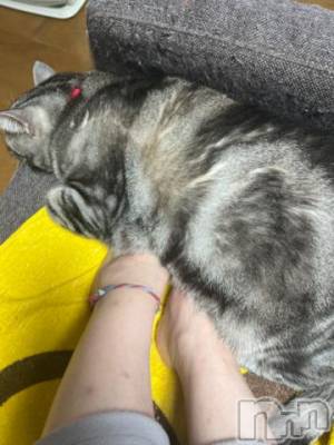 新潟デリヘル 五十路マダム新潟店(カサブランカグループ)(イソジマダムニイガタテン) 夏目みな(51)の11月11日写メブログ「おはようございます」