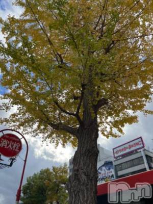 新潟デリヘル 五十路マダム新潟店(カサブランカグループ)(イソジマダムニイガタテン) 夏目みな(51)の11月14日写メブログ「終わったー」