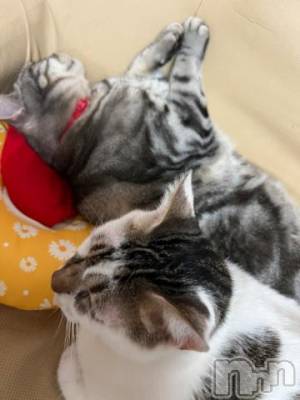 新潟デリヘル 五十路マダム新潟店(カサブランカグループ)(イソジマダムニイガタテン) 夏目みな(51)の11月20日写メブログ「おはようございます」