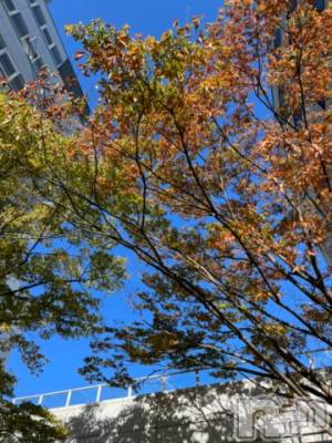 新潟デリヘル 五十路マダム新潟店(カサブランカグループ)(イソジマダムニイガタテン) 夏目みな(51)の11月23日写メブログ「寒い」