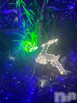 新潟デリヘル 五十路マダム新潟店(カサブランカグループ)(イソジマダムニイガタテン) 夏目みな(51)の12月25日写メブログ「忘れてた」