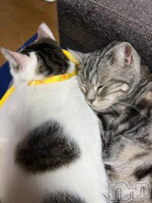 新潟デリヘル 五十路マダム新潟店(カサブランカグループ)(イソジマダムニイガタテン) 夏目みな(51)の1月1日写メブログ「あの音」