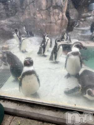 新潟デリヘル 五十路マダム新潟店(カサブランカグループ)(イソジマダムニイガタテン) 夏目みな(51)の2月3日写メブログ「また…」