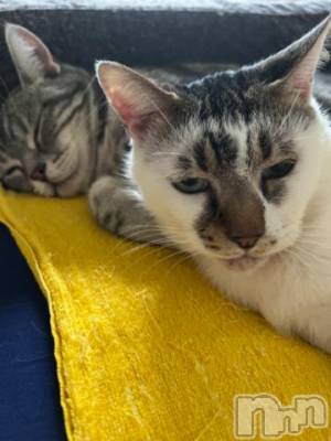 新潟デリヘル 五十路マダム新潟店(カサブランカグループ)(イソジマダムニイガタテン) 夏目みな(51)の2月5日写メブログ「起きたら」