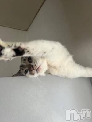 新潟デリヘル 五十路マダム新潟店(カサブランカグループ)(イソジマダムニイガタテン) 夏目みな(51)の3月6日写メブログ「出勤しました♪」