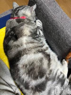 新潟デリヘル 五十路マダム新潟店(カサブランカグループ)(イソジマダムニイガタテン) 夏目みな(51)の3月11日写メブログ「ダイエット」