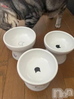 新潟デリヘル 五十路マダム新潟店(カサブランカグループ)(イソジマダムニイガタテン) 夏目みな(51)の3月13日写メブログ「確認」