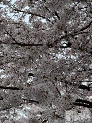 新潟デリヘル 五十路マダム新潟店(カサブランカグループ)(イソジマダムニイガタテン) 夏目みな(51)の3月20日写メブログ「4/6」