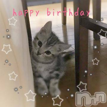 新潟デリヘル 五十路マダム新潟店(カサブランカグループ)(イソジマダムニイガタテン) 夏目みな(51)の3月25日写メブログ「誕生日」