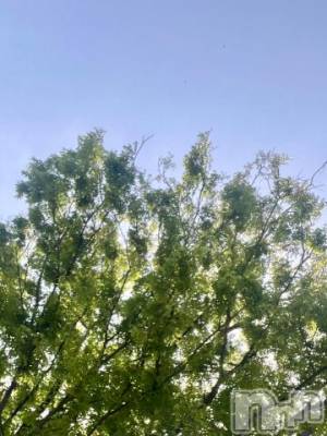 新潟デリヘル 五十路マダム新潟店(カサブランカグループ)(イソジマダムニイガタテン) 夏目みな(51)の4月26日写メブログ「失敗した」