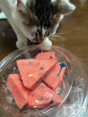 新潟デリヘル 五十路マダム新潟店(カサブランカグループ)(イソジマダムニイガタテン) 夏目みな(51)の5月24日写メブログ「大好き♡」