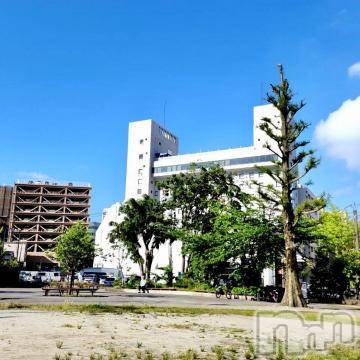 新潟デリヘル 五十路マダム新潟店(カサブランカグループ)(イソジマダムニイガタテン) 夏目みな(51)の6月4日写メブログ「いい天気」