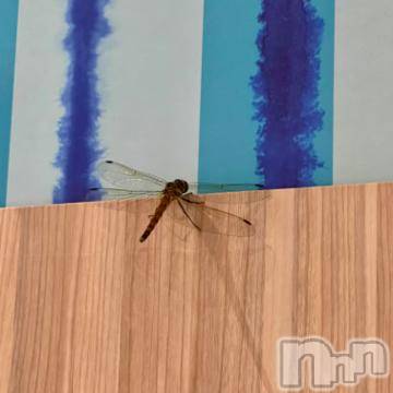 新潟デリヘル 五十路マダム新潟店(カサブランカグループ)(イソジマダムニイガタテン) 夏目みな(51)の6月18日写メブログ「昨日…」